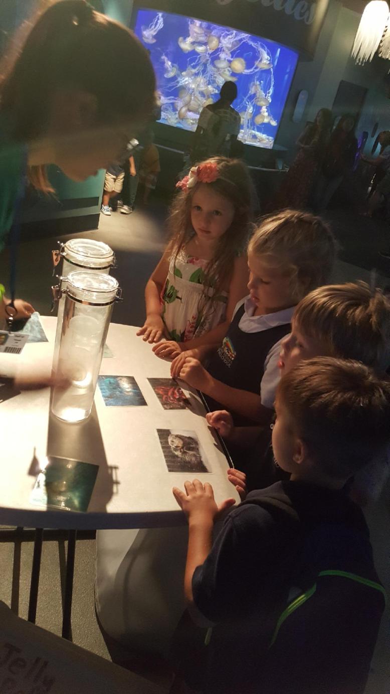 20170721_102706_1500665361050_001