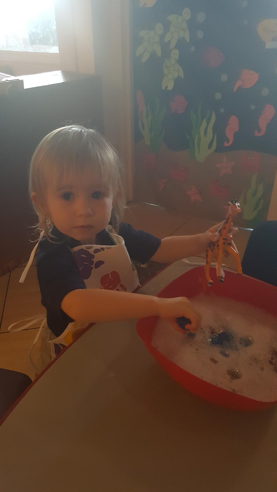 Resized_20180730_104516