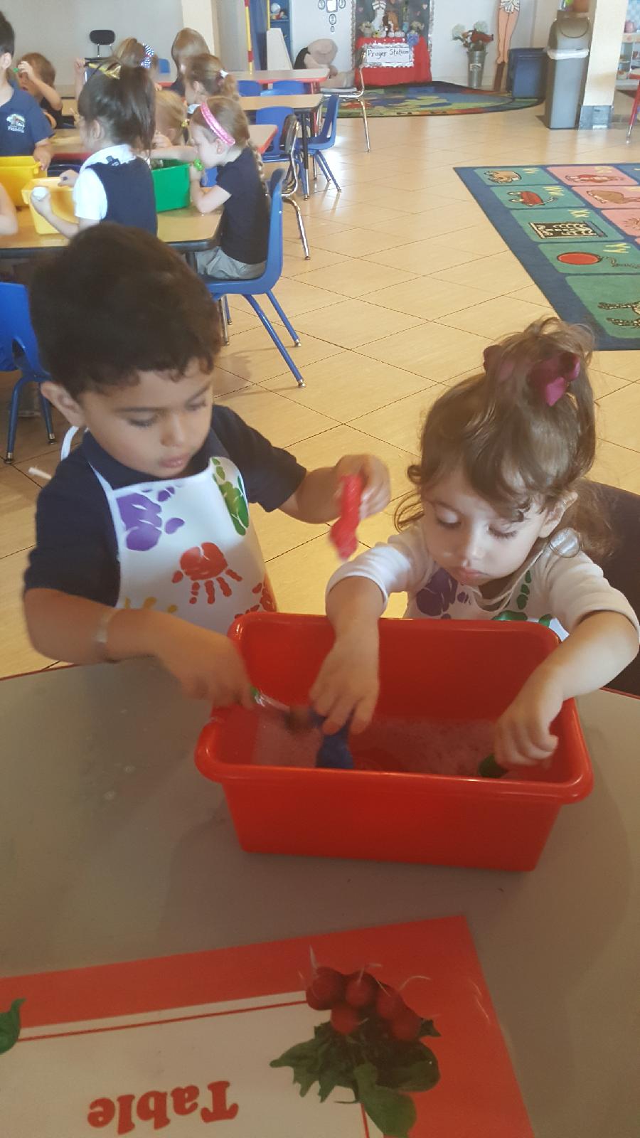 Resized_20180730_104552